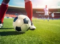 罗迈向,球里程碑,尚未征服之,欧亿体育官网,欧亿体育直播,体育赛事直播,足球直播